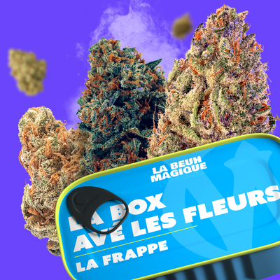 Les box