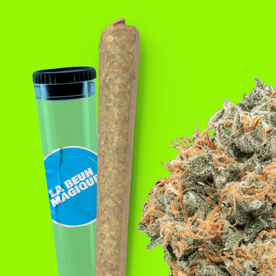 Pre rolls Massilia