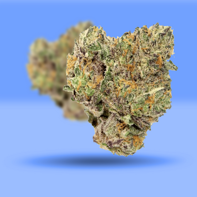 Shifter Kush