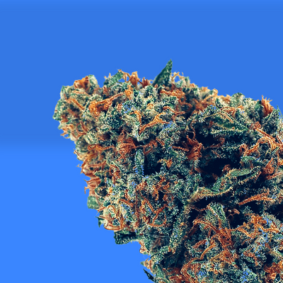 Canebière Kush