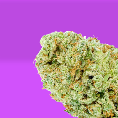 Zinzin Diesel
