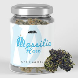 Massilia haze