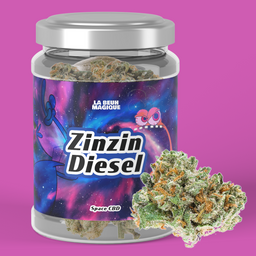 Zinzin Diesel
